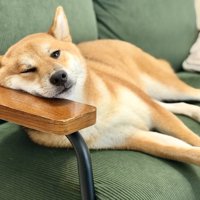 眠る