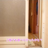 いなくなったと思ったら…
