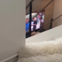 前足を伸ばすと…