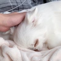 安心してすやすや…♡