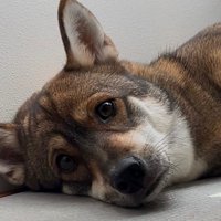 知性を感じる表情も♡