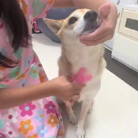 「ここを切ったらどうかな？」