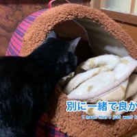 本当は一緒に入りたかった天くん