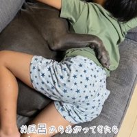 ソファの上で眠る犬と男の子
