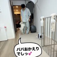 パパをお出迎え