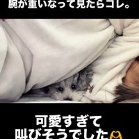 投稿主さんの腕枕で寝ていた♡