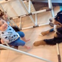 女の子を見守るダンロくん2