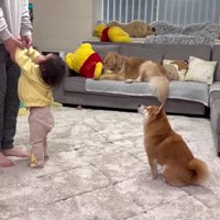 エンドレスループ…