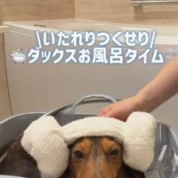お風呂の時間