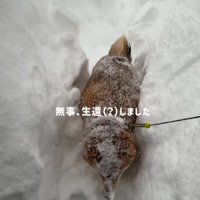 無事に生還しました♪