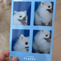 失敗