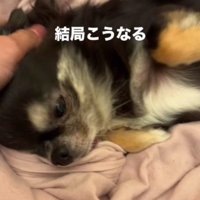 とっても可愛いお出迎えでした！