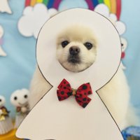 季節感溢れるコスプレ