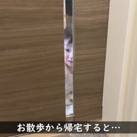 ガラス越しにじーっ