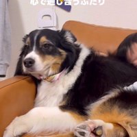 一緒に暮らす男の子が大好き