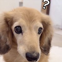「？」