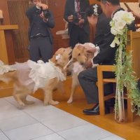 微笑ましいワンシーンでした♡