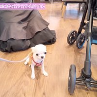 試着中は少し緊張気味？