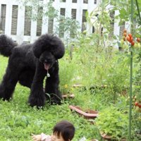 優しく見守ります