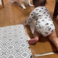赤ちゃんを見守るまる君3