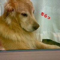 何度もチラ見