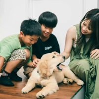 子供たちと初対面する子犬