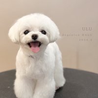 普段