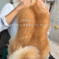 まるで赤ちゃんみたい♡