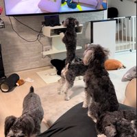 途中でいなくなる子も