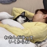 女性の腕枕で寝る黒柴「私が守っていくからね」