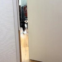 「元気になったかな？」