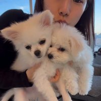 八角くん＆うゆちゃん3