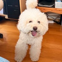 ニコニコ