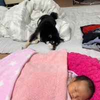 寝てしまうミヤビちゃん