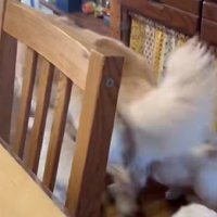 ママは慣れっこ…！？