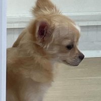 切ない表情に胸が痛む…