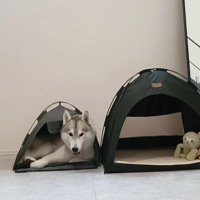 後日、大きいテントを買ったのに…小さい方を選ぶはくちゃん