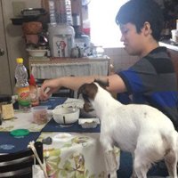 人間と一緒の目線なのは…