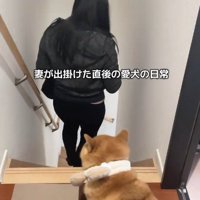 ママのお見送り