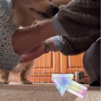 寝ていたはずのレオくんが隣に！