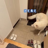 パパが隠れた時のれお君7