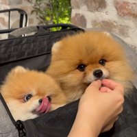 「まだですか？」