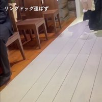抱っこされる犬2