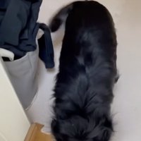 葛藤は伝わってきます