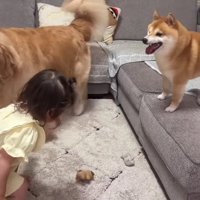 「ほのちゃん、今のうち！」