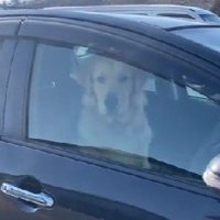 「そろそろ運転代わろうか」