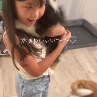 子犬との初めての触れ合い