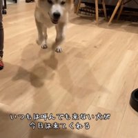 笑顔で駆け寄る甚八くん