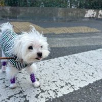 お気に入りの場所を通ってニコニコ♪