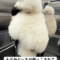 エレベーターでも！！